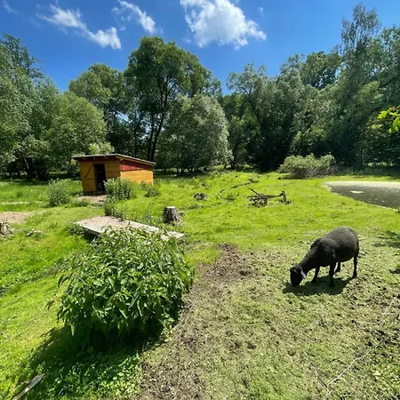 černý Mlýn Penzion Dubá